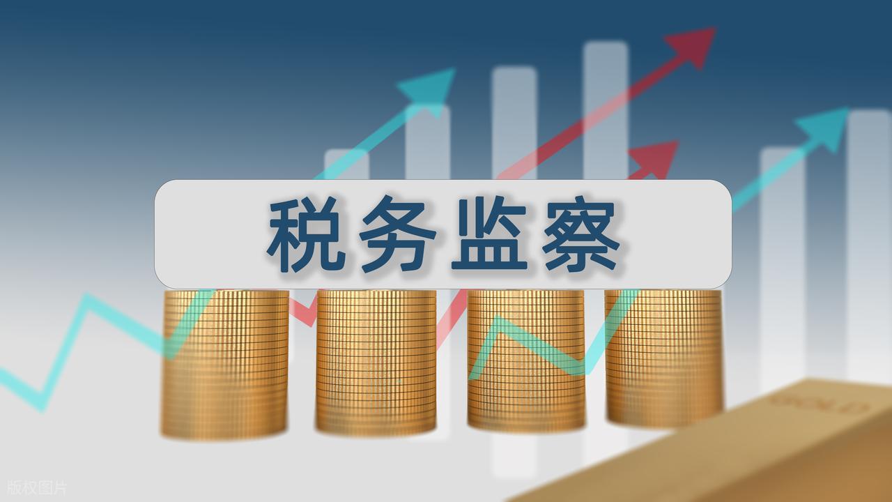 税务监察.jpeg