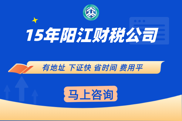 阳江资产负债表出具主题配图